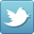 Connect to Twitter
